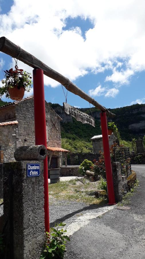 Les Tremieres Bed & Breakfast Saint-Paul-des-Fonts Exterior photo