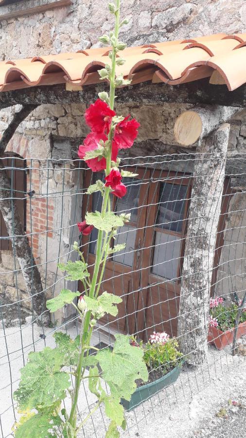 Les Tremieres Bed & Breakfast Saint-Paul-des-Fonts Exterior photo