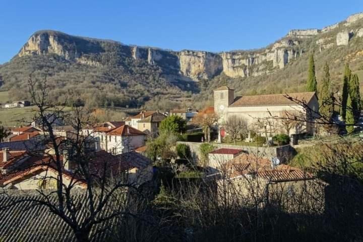 Les Tremieres Bed & Breakfast Saint-Paul-des-Fonts Exterior photo